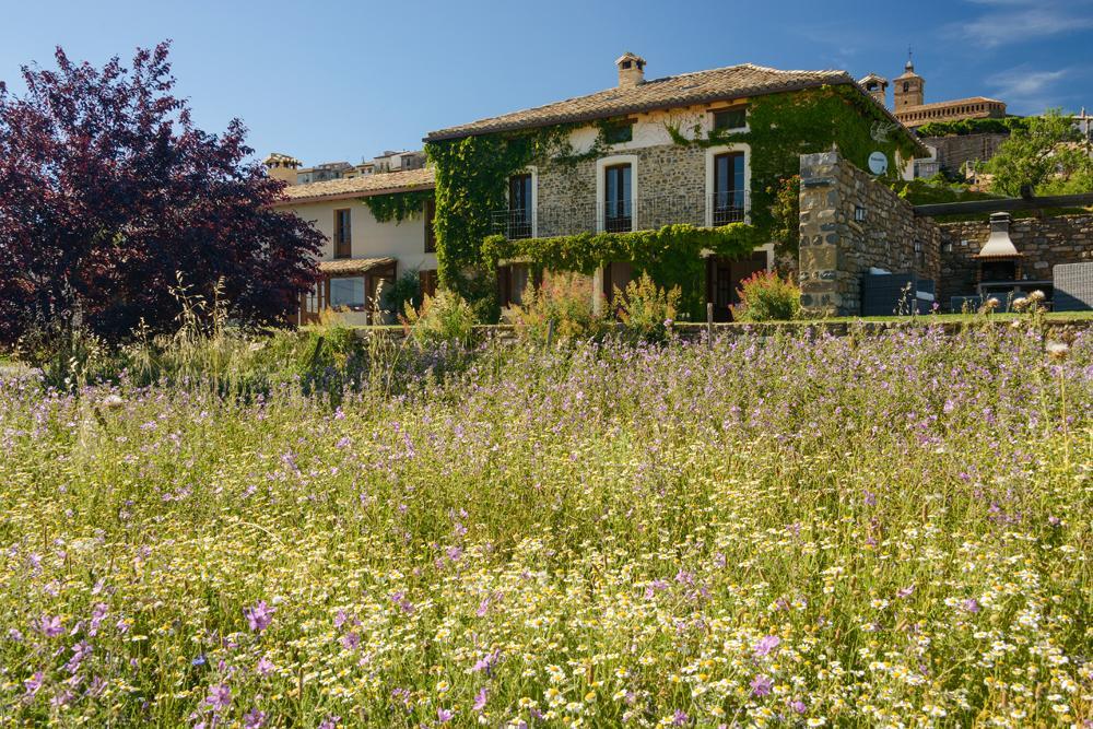 Maison d'hôtes Casa Sarasa à Berdun Extérieur photo