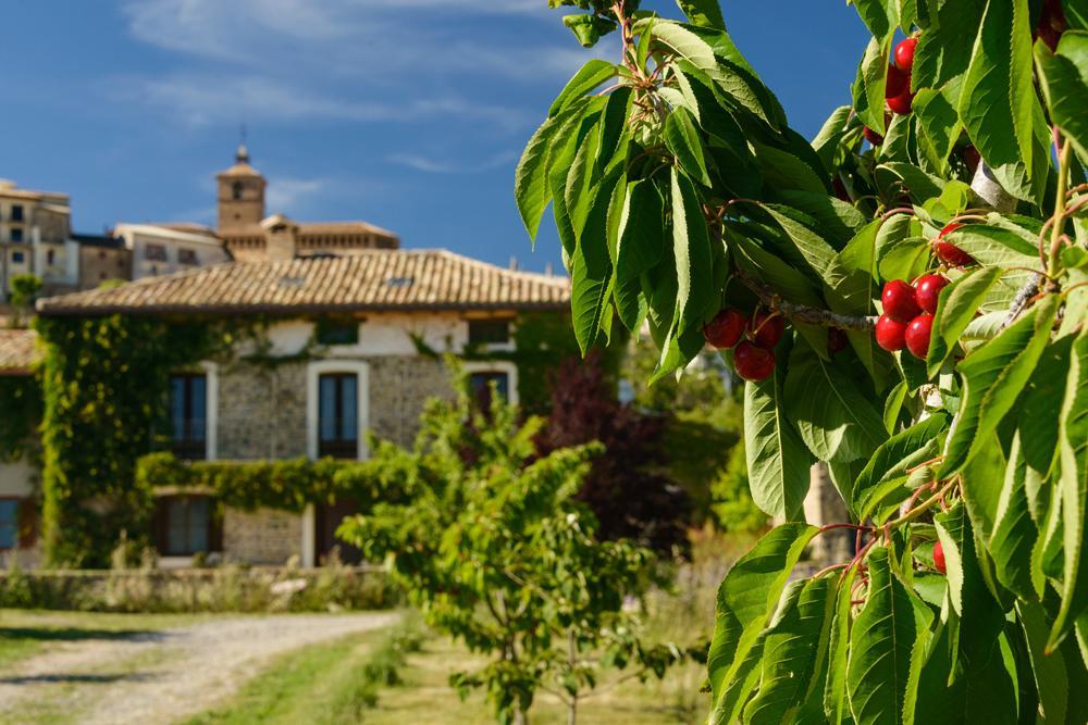 Maison d'hôtes Casa Sarasa à Berdun Extérieur photo